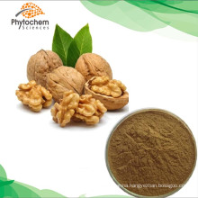 100% natural Juglans regia Walnut Extract powder with 10 to 1